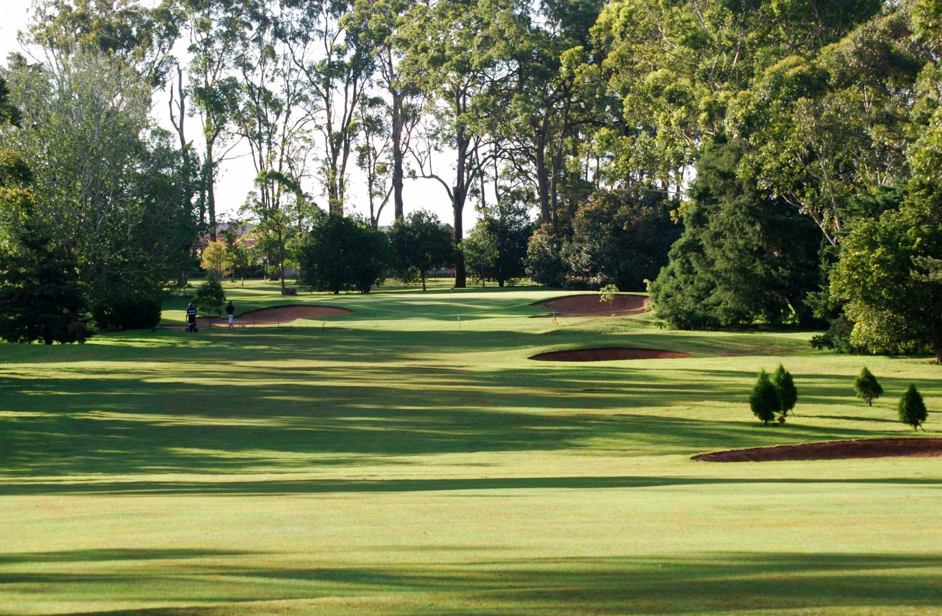 2026 Queensland Hickory Championship